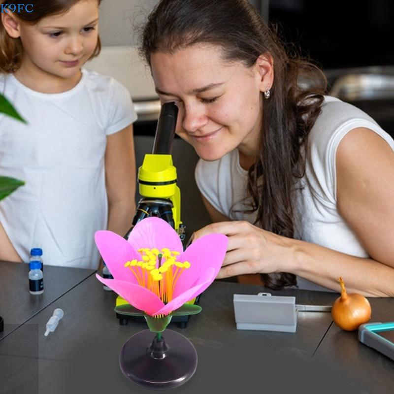 K9FC Realistisch plantenonderw - Science Exhibition Models recensie en prijs